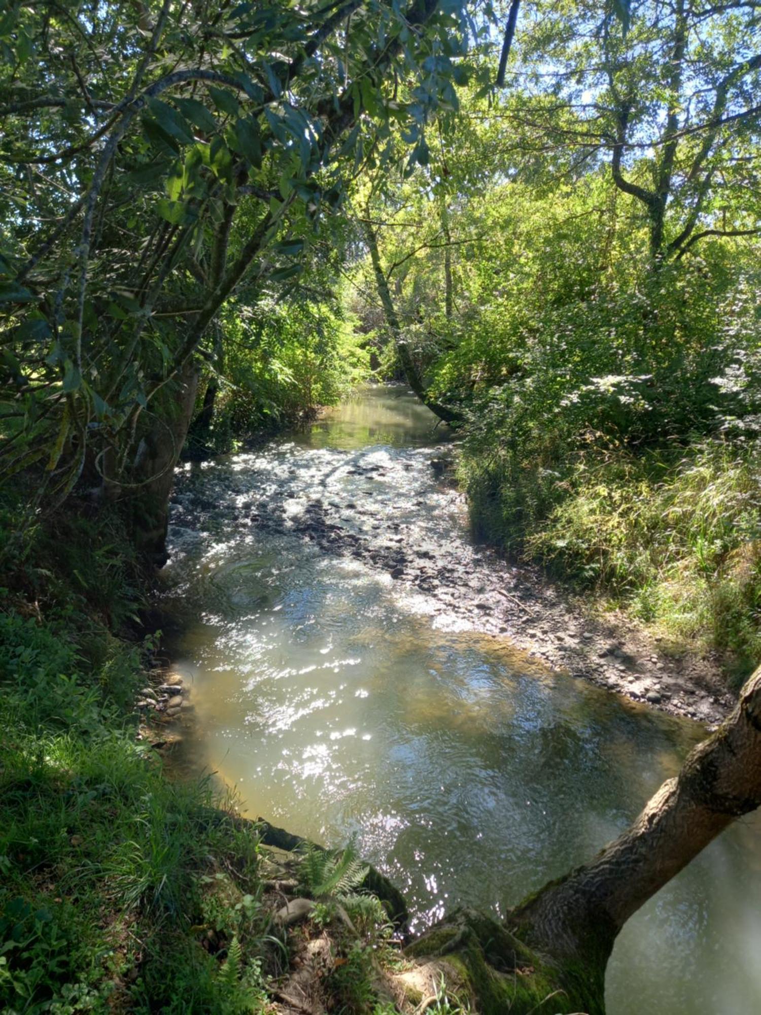 L'Oasis Des Pyrenees Villa Campuzan Eksteriør bilde